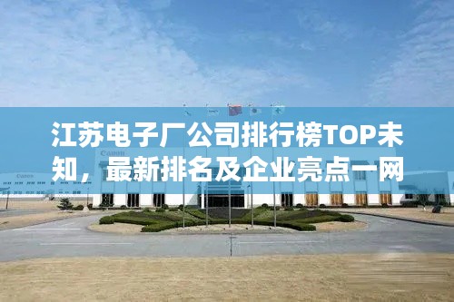 江蘇電子廠公司排行榜TOP未知，最新排名及企業(yè)亮點(diǎn)一網(wǎng)打盡