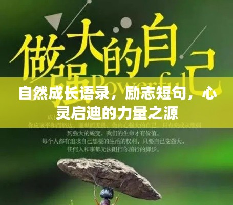 自然成長(zhǎng)語錄，勵(lì)志短句，心靈啟迪的力量之源