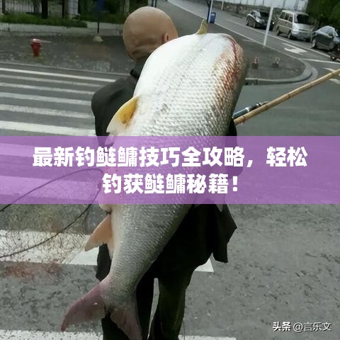 最新釣鰱鳙技巧全攻略，輕松釣獲鰱鳙秘籍！