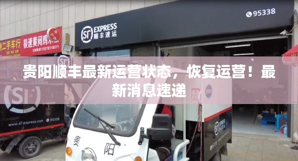 貴陽(yáng)順豐最新運(yùn)營(yíng)狀態(tài)，恢復(fù)運(yùn)營(yíng)！最新消息速遞