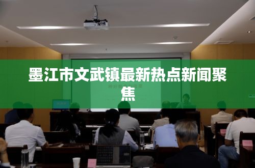墨江市文武鎮(zhèn)最新熱點新聞聚焦