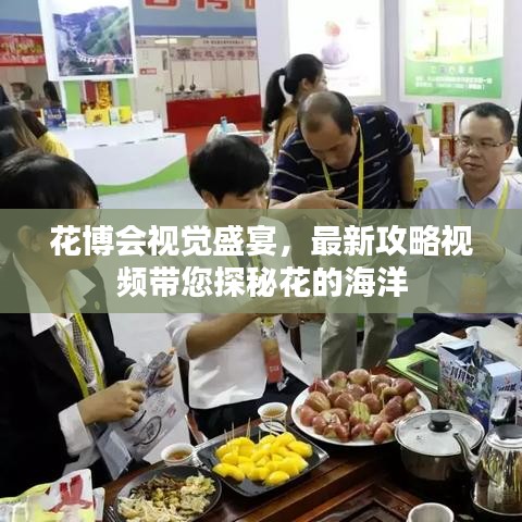 花博會視覺盛宴，最新攻略視頻帶您探秘花的海洋