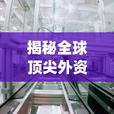揭秘全球頂尖外資公司排名背后的成功要素分析！