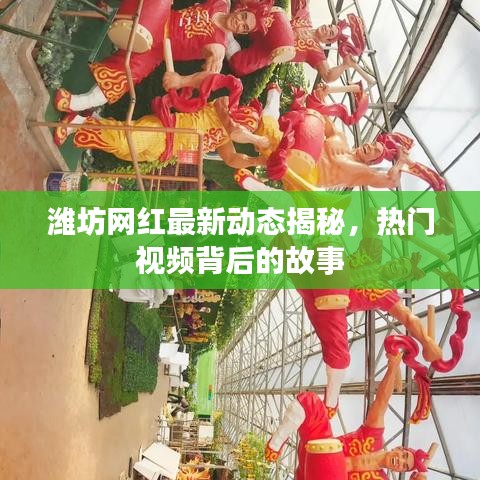 濰坊網(wǎng)紅最新動態(tài)揭秘，熱門視頻背后的故事