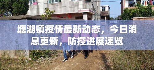 塘湖鎮(zhèn)疫情最新動態(tài)，今日消息更新，防控進展速覽