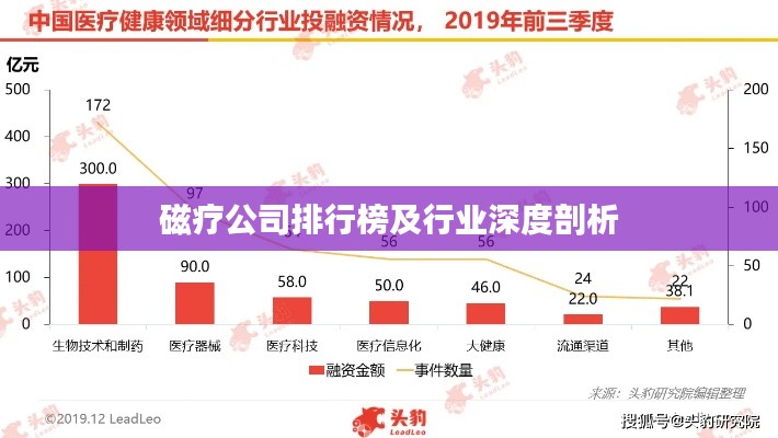 磁療公司排行榜及行業(yè)深度剖析