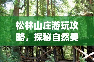 松林山莊游玩攻略，探秘自然美景，盡享度假樂(lè)趣！
