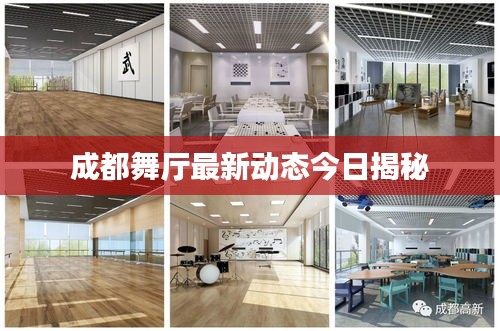 成都舞廳最新動態(tài)今日揭秘