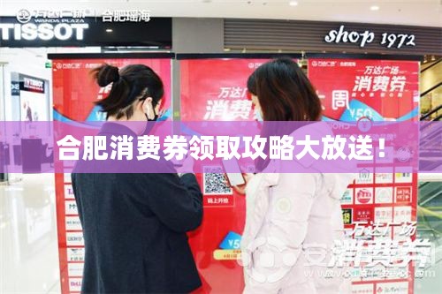 合肥消費(fèi)券領(lǐng)取攻略大放送！