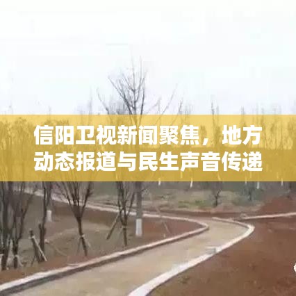 信陽衛(wèi)視新聞聚焦，地方動態(tài)報道與民生聲音傳遞