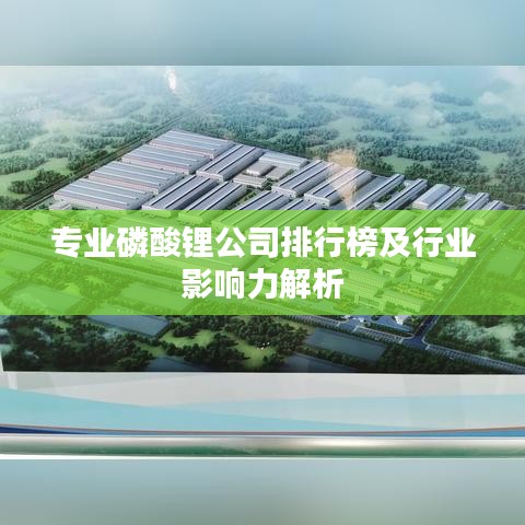 專業(yè)磷酸鋰公司排行榜及行業(yè)影響力解析