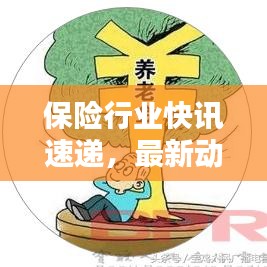 保險行業(yè)快訊速遞，最新動態(tài)深度解析，洞悉今日趨勢