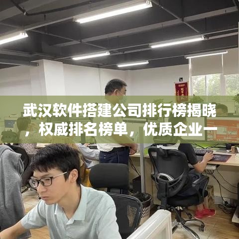 武漢軟件搭建公司排行榜揭曉，權(quán)威排名榜單，優(yōu)質(zhì)企業(yè)一覽無余！