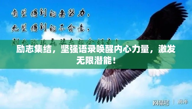 勵志集結(jié)，堅強語錄喚醒內(nèi)心力量，激發(fā)無限潛能！