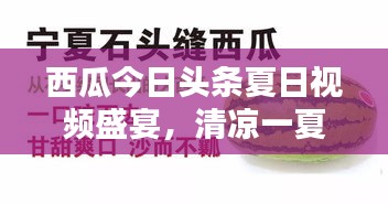西瓜今日頭條夏日視頻盛宴，清涼一夏，熱點(diǎn)新聞一網(wǎng)打盡