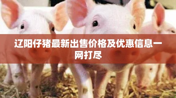 遼陽仔豬最新出售價(jià)格及優(yōu)惠信息一網(wǎng)打盡
