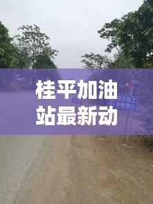 桂平加油站最新動(dòng)態(tài)報(bào)道速遞
