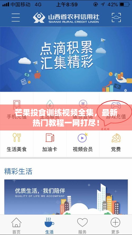 芒果投食訓(xùn)練視頻全集，最新熱門教程一網(wǎng)打盡！