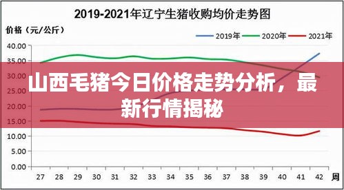 山西毛豬今日價(jià)格走勢(shì)分析，最新行情揭秘
