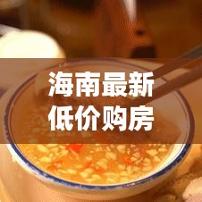 海南最新低價(jià)購房攻略揭秘！
