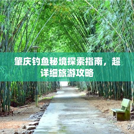 肇慶釣魚(yú)秘境探索指南，超詳細(xì)旅游攻略