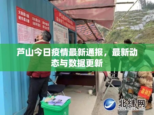 蘆山今日疫情最新通報(bào)，最新動(dòng)態(tài)與數(shù)據(jù)更新