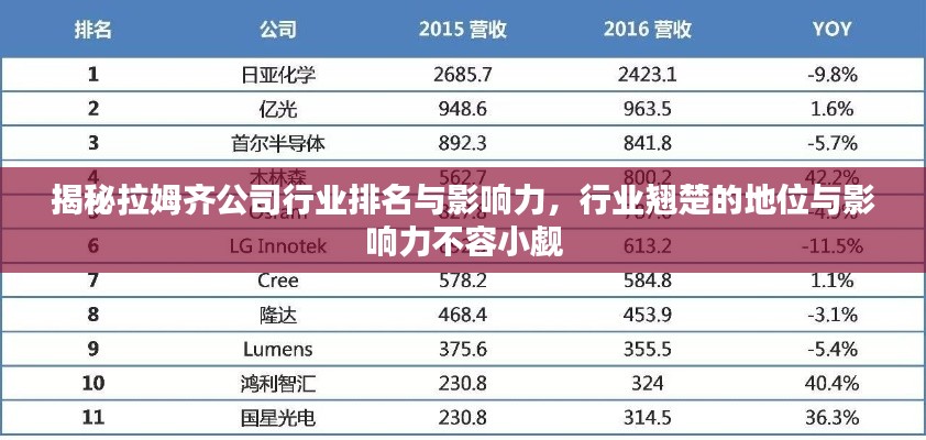 揭秘拉姆齊公司行業(yè)排名與影響力，行業(yè)翹楚的地位與影響力不容小覷