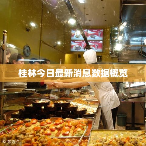 桂林今日最新消息數(shù)據(jù)概覽