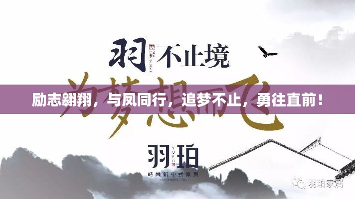 勵(lì)志翱翔，與鳳同行，追夢(mèng)不止，勇往直前！
