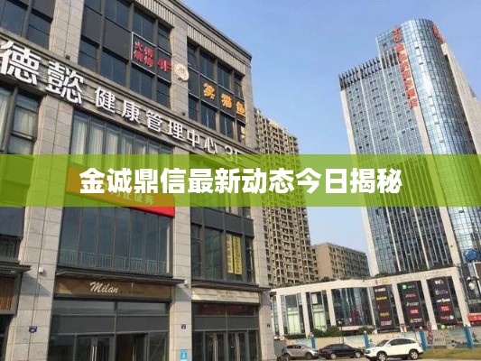 金誠鼎信最新動態(tài)今日揭秘