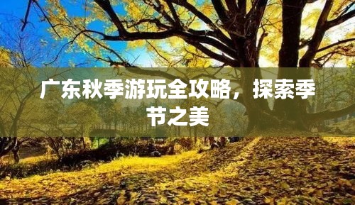 廣東秋季游玩全攻略，探索季節(jié)之美