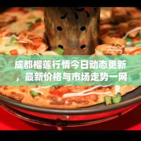 成都榴蓮行情今日動態(tài)更新，最新價格與市場走勢一網(wǎng)打盡！