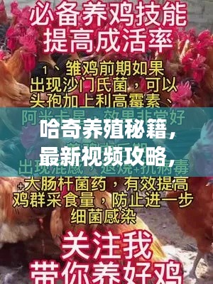 哈奇養(yǎng)殖秘籍，最新視頻攻略，助力養(yǎng)殖業(yè)騰飛！掌握關(guān)鍵技巧，事業(yè)騰飛起點(diǎn)