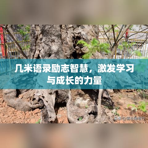 幾米語錄勵(lì)志智慧，激發(fā)學(xué)習(xí)與成長的力量