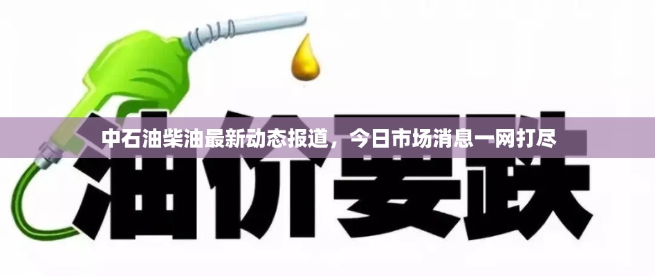 中石油柴油最新動(dòng)態(tài)報(bào)道，今日市場(chǎng)消息一網(wǎng)打盡