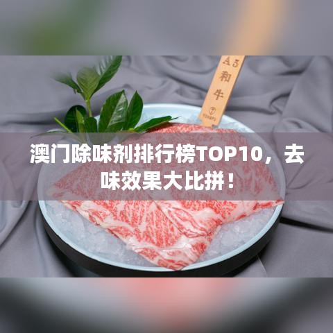 澳門除味劑排行榜TOP10，去味效果大比拼！