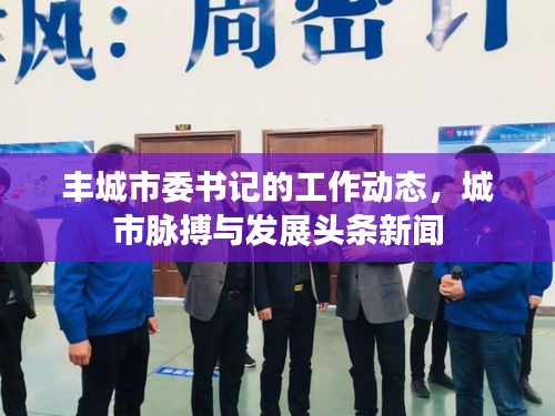 豐城市委書記的工作動(dòng)態(tài)，城市脈搏與發(fā)展頭條新聞