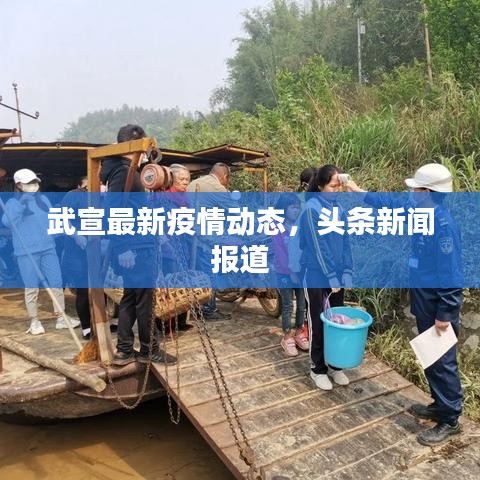 武宣最新疫情動態(tài)，頭條新聞報道