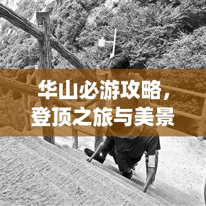 華山必游攻略，登頂之旅與美景盡收眼底