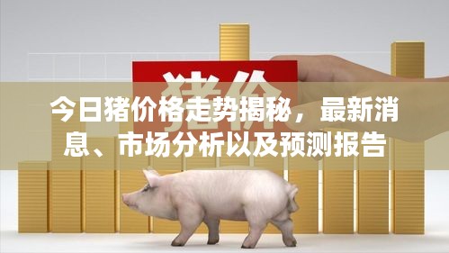 今日豬價(jià)格走勢(shì)揭秘，最新消息、市場(chǎng)分析以及預(yù)測(cè)報(bào)告