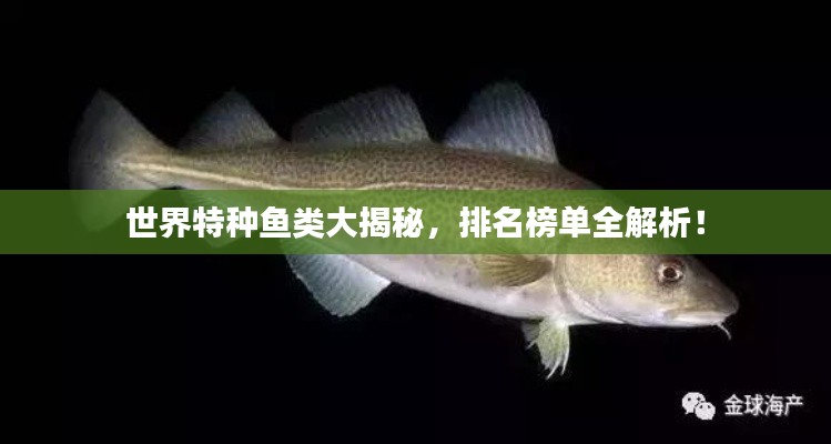 量入為出 第2頁(yè)