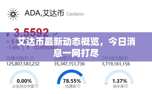 艾達(dá)幣最新動(dòng)態(tài)概覽，今日消息一網(wǎng)打盡