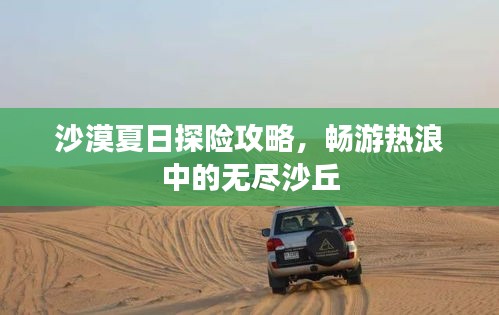 沙漠夏日探險攻略，暢游熱浪中的無盡沙丘