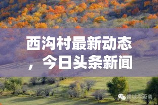 西溝村最新動態(tài)，今日頭條新聞報道聚焦此地！