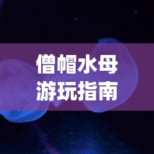 僧帽水母游玩指南，探索神秘海洋生物之旅