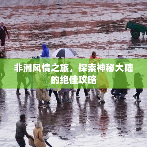 非洲風(fēng)情之旅，探索神秘大陸的絕佳攻略