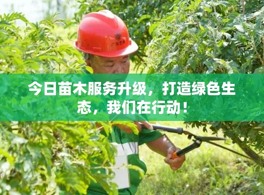 今日苗木服務(wù)升級，打造綠色生態(tài)，我們在行動！
