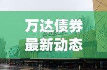 萬達(dá)債券最新動態(tài)，今日消息一覽