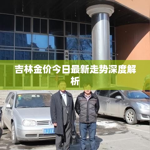吉林金價今日最新走勢深度解析