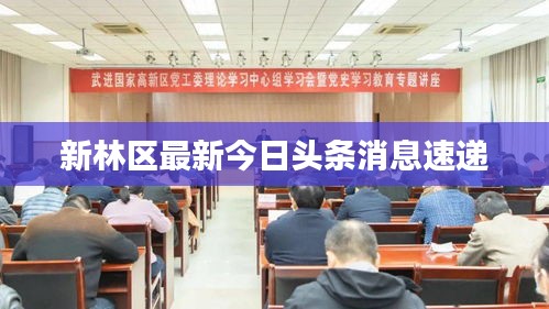 新林區(qū)最新今日頭條消息速遞